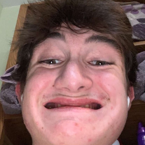 7aperrizo